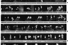 Contact-sheet-dispossessed-1